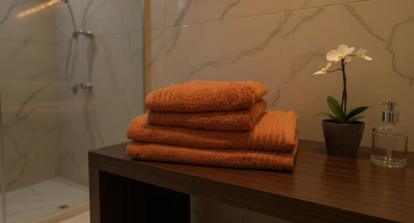 Set de 4 serviettes en éponge AquaSOFT® Sense